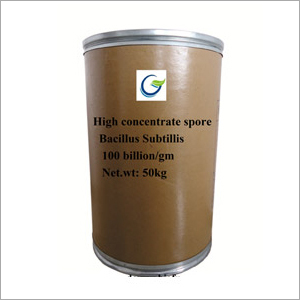 High Concentrate Spore Bacillus Subtilis Powder