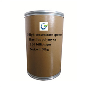50 kg Bacillus Polymyxa Powder