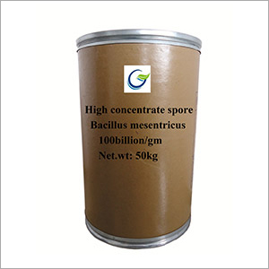 50 kg Bacillus Mesentricus Powder