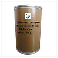 50 Kg Bacillus Licheniformis Powder Use: For Animal Use