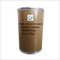 High Concentrate Spore Bacillus Coagulans Powder Use: For Animal Use