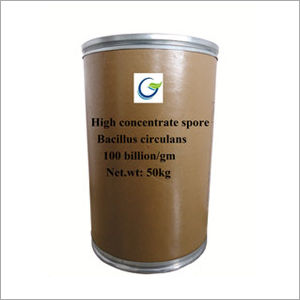 50 Kg High Concentrate Spore Bacillus Circulans Powder Use: For Animal Use