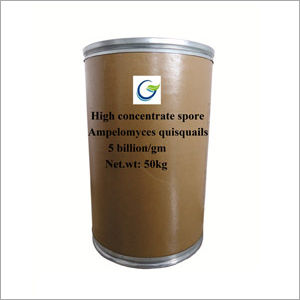 High Concentrate Spore Ampelomyces Quisquails Powder