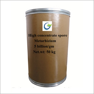 High Concentrate Spore Metarhizium Powder