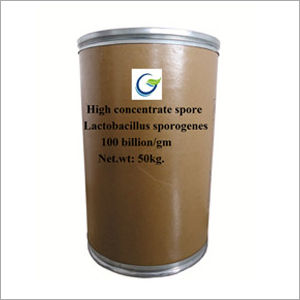 50 kg Lactobacillus Sporgenes Powder