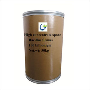 50 kg Firmus Powder