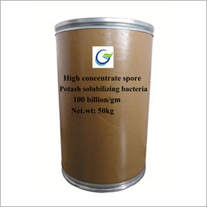 High Concentrate Spore Potash Solubilizing Bacteria Powder