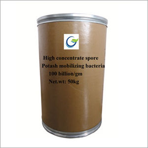 50kg Potash Mobilizing Bacteria Powder