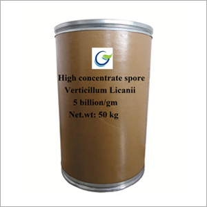 Verticillum Licani Powder