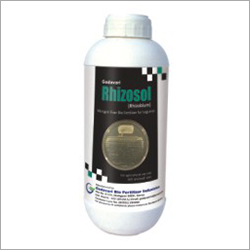 Nitrogen Rhizobium Bacteria
