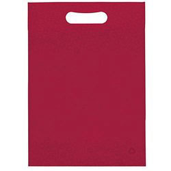Non Woven Carry Bag