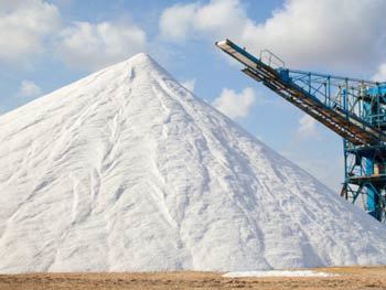 Low Salt