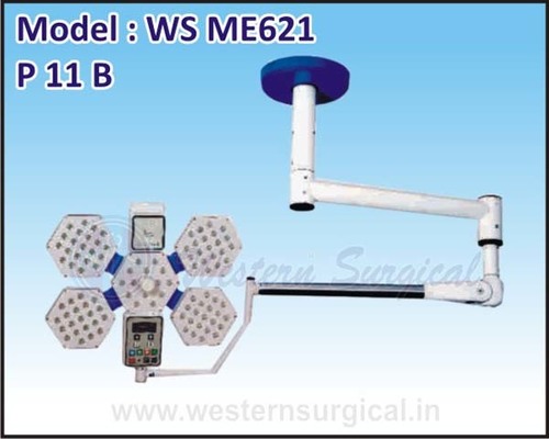 P 11 B Model - WS ME401H