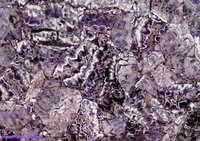 Amethyst African