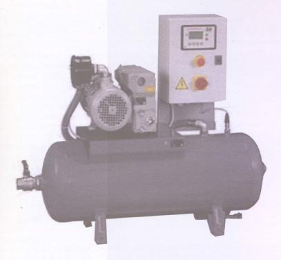 Simplex Pump Vacuum System