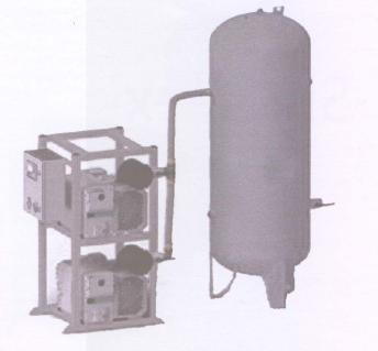 Duplex Pump Vacuum System