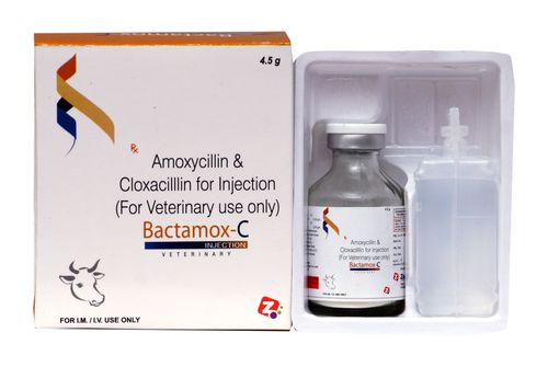 Amoxycillin & Cloxacillin Injection