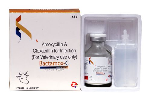 Liquid Amoxycillin & Cloxacillin Injection