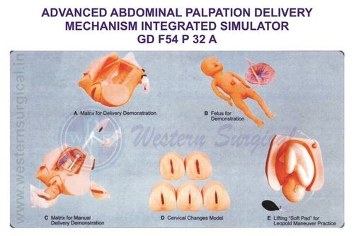 ADVANCED ABDOMINAL PALPATION DELIVERY MECHANISM INTEGRATED SIMULATOR GD F54