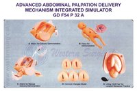 ADVANCED ABDOMINAL PALPATION DELIVERY MECHANISM INTEGRATED SIMULATOR GD F54