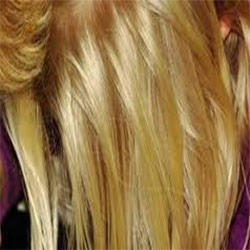 Professional Bleach Hair By NDS IMPEX