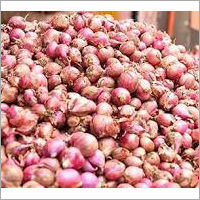 Fresh Red Onion