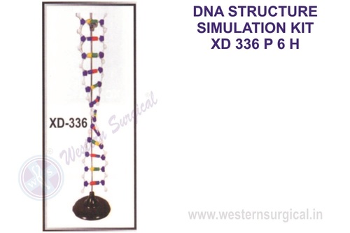 DNA STRUCTURE SIMULATION KIT XD 336