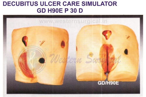 DECUBITUS ULCER CARE SIMULATOR GD H90E