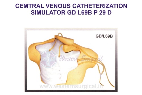 CEMTRAL VENOUS CATHETERIZATION SIMULATOR GD L69B