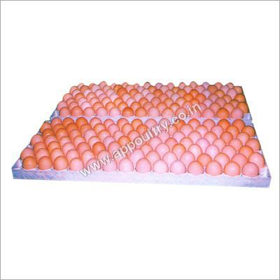 Plastic Egg Tray - Recycled Paper Pulp, 60x40 cm, White | Biodegradable, Durable, Stackable Design for 72 Eggs, Lightweight & Recyclable