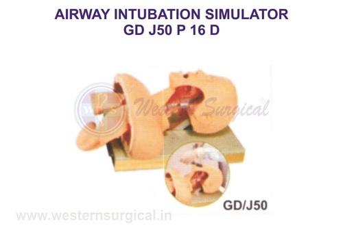 AIRWAY INTUBATION SIMULATOR GD J50