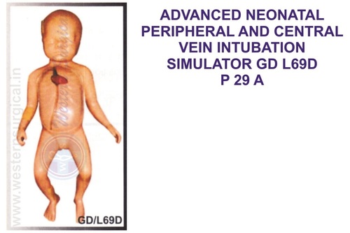 ADVANCED NEONATAL PERIPHERAL AND CENTRAL VEIN INTUBATION SIMULATOR GD L69D