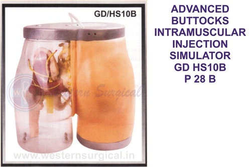 ADVANCED BUTTOCKS INTRAMUSCULAR INJECTION SIMULATOR GD HS10B