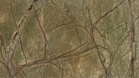 Sandstone Rainforest Veneer
