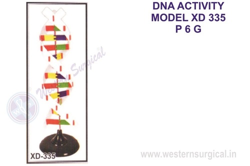 DNA ACTIVITY MODEL XD 335
