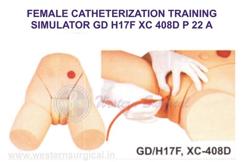 FEMALE CATHETERIZATION TRAINING SIMULATOR GD H17F XC 408D