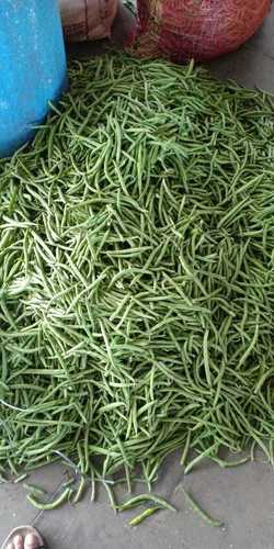Green Bean By PASK OVERSEAS INDIA PVT. LTD.