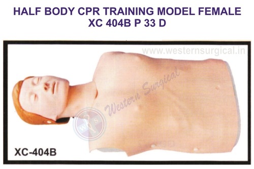 HALF BODY CPR TRAINING MODEL FEMALE