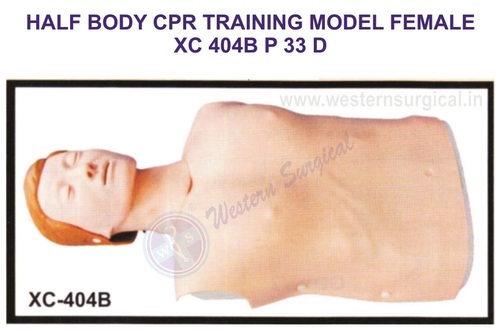 Half Body Cpr Training Model Female For Hospital, Medical College & Laboratory Use