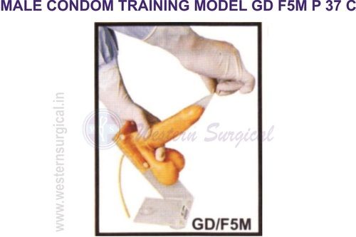 MALE CONDOM TRAINING MODEL