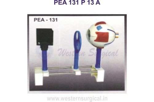 MODEL OF HUMAN FUNCTIONAL EYE PEA