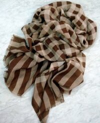Pashmina Scarves India