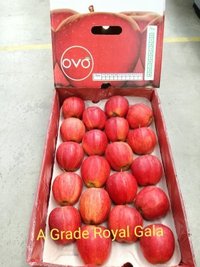 Imported Apple