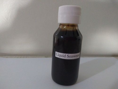 Liquid Seaweed 8% - Grade: Technical Grade