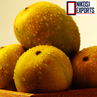 Alphonso Mango - 200g To 350g | Rich Yellow Color, Sweet Flavor, Tender Non-fibrous Pulp, High In Beta-carotene