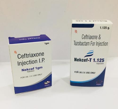 ceftriaxone 1 gm ceftriaxone 1 gm