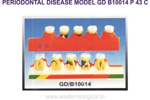 PERIODONTAL DISEASE MODEL