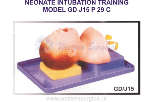 NEONATE INTUBATION TRAINING MODEL