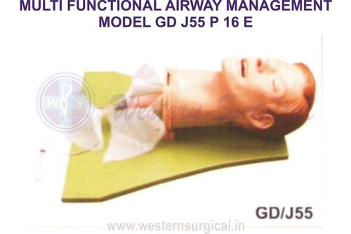 MULTI FUNCTIONAL AIRWAY MANAGEMENT MODEL