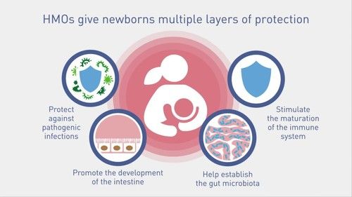 Human Milk Oligosaccharide Application: Pharmaceutical Industry